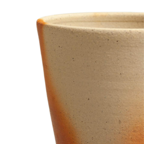 Copos de Cerveja Bizen Ware Padrão Escarlate (Conjunto 2 peças)